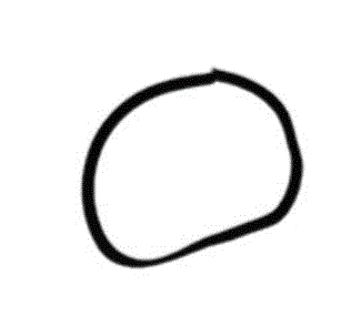 CLEANSTAR – GASKET FOR FILTER SUPPORT